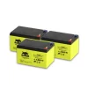 Forca Ersatzakku »Safety«, Blei-Gel-Akku, 36 V, 432 Wh 5