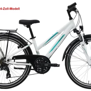 Pegasus Avanti 2019 21-Gang 13