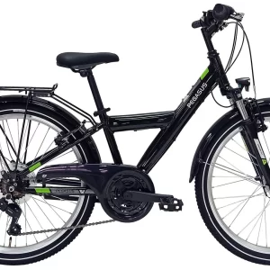 Pegasus Avanti 2022 18-Gang 7