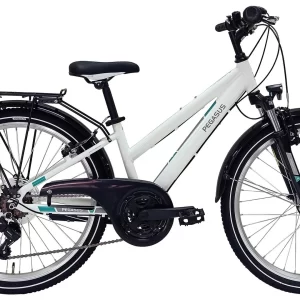 Pegasus Avanti 2022 18-Gang 9